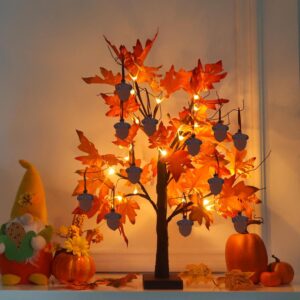 306304 product image